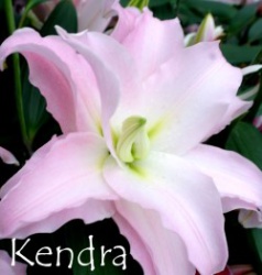 Kendra