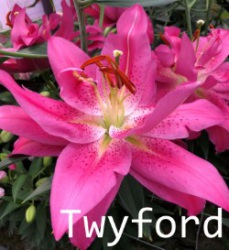 Twyford