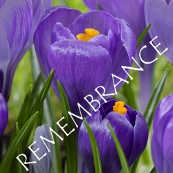 Remembrance