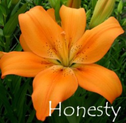 Honesty