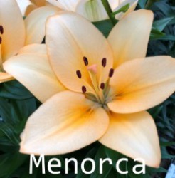 Menorca