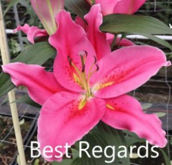 Best-Regards