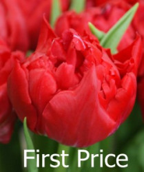 First Price