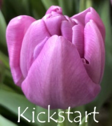Kickstart