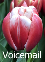 Voicemail